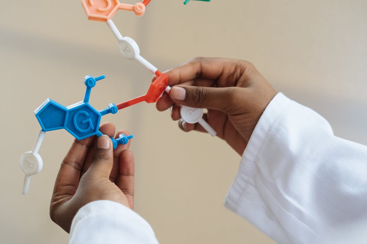 CAR T-Cell Therapy Rejuvenates Aging Intestines in Breakthrough Study